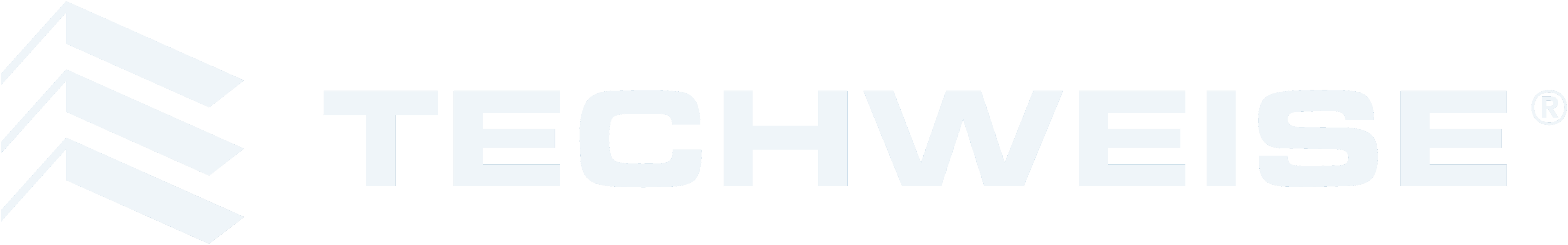Techweise logo